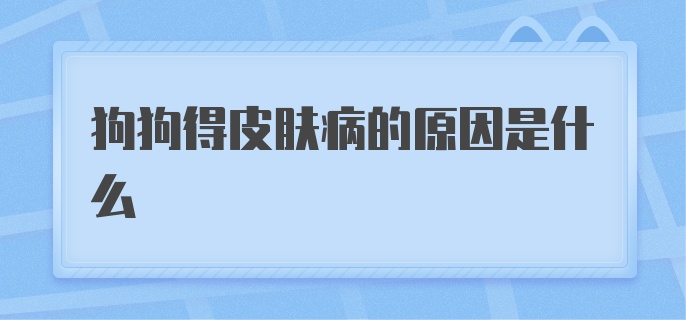 狗狗得皮肤病的原因是什么