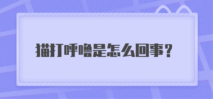 猫打呼噜是怎么回事？