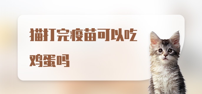 猫打完疫苗可以吃鸡蛋吗