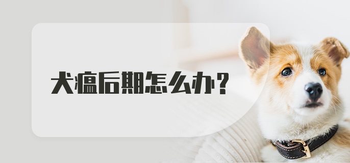 犬瘟后期怎么办?