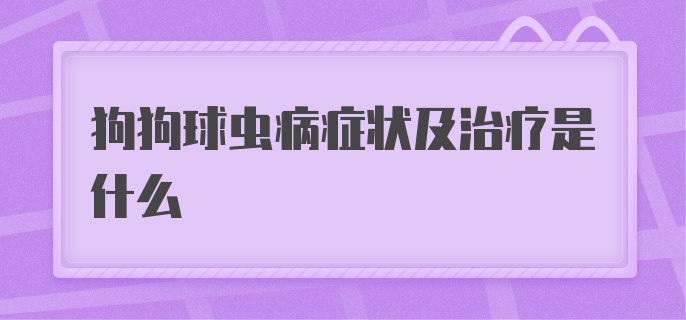 狗狗球虫病症状及治疗是什么