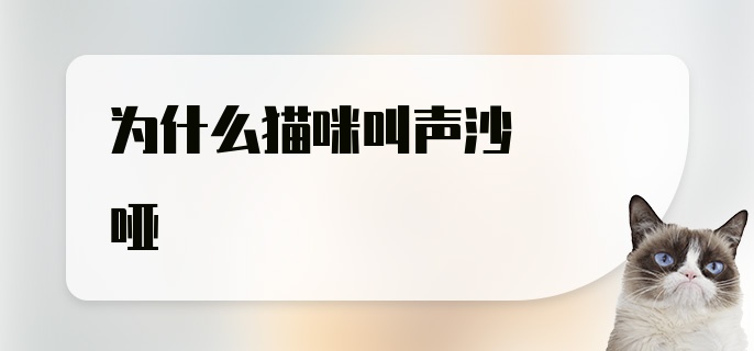 为什么猫咪叫声沙哑