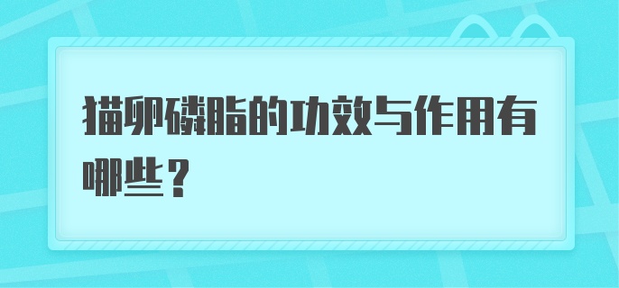 猫卵磷脂的功效与作用有哪些？