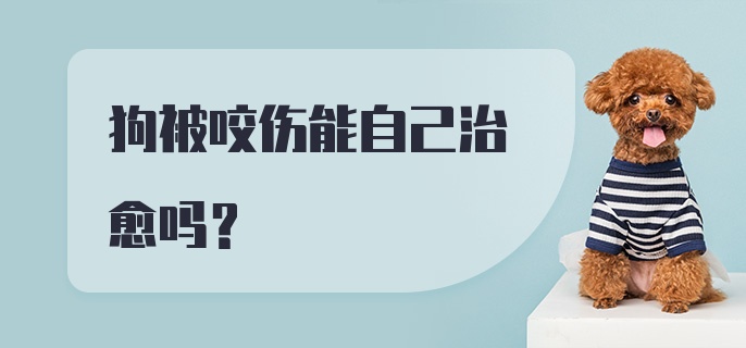 狗被咬伤能自己治愈吗？