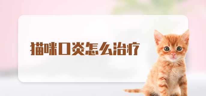 猫咪口炎怎么治疗