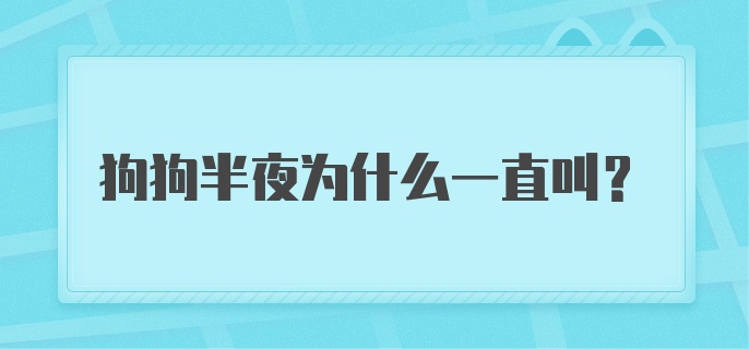 狗狗半夜为什么一直叫？