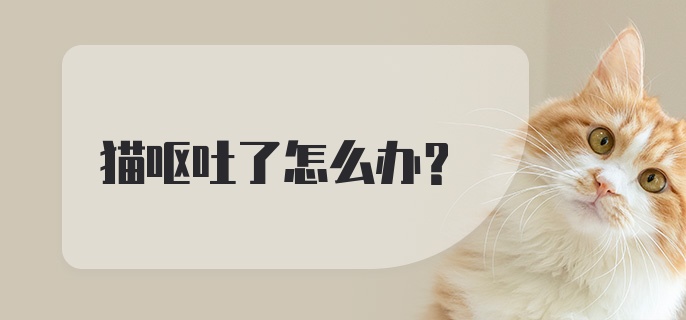 猫呕吐了怎么办？