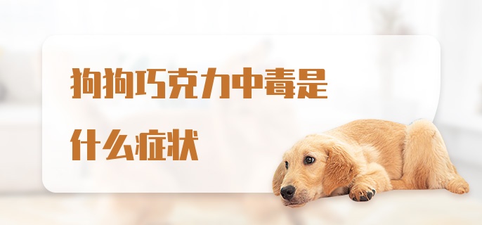 狗狗巧克力中毒是什么症状