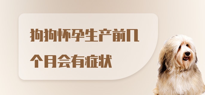 狗狗怀孕生产前几个月会有症状