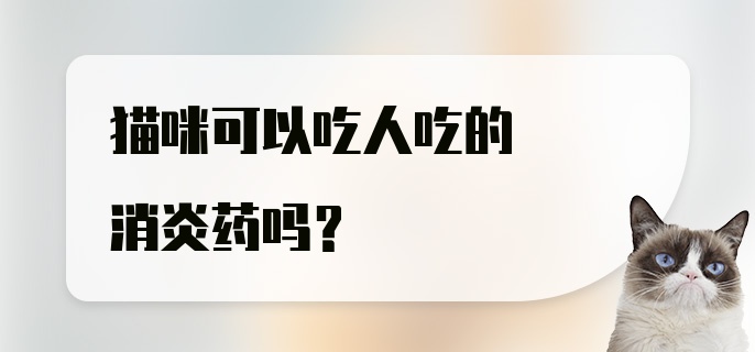 猫咪可以吃人吃的消炎药吗？