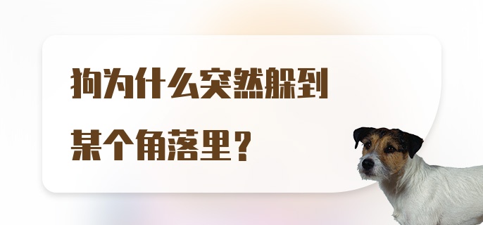 狗为什么突然躲到某个角落里？