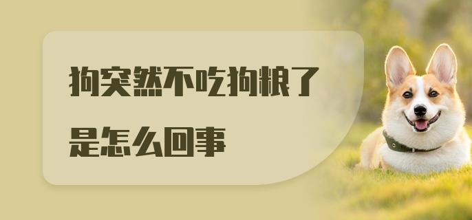 狗突然不吃狗粮了是怎么回事