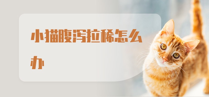 小猫腹泻拉稀怎么办