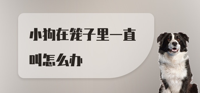 小狗在笼子里一直叫怎么办