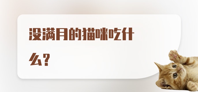 没满月的猫咪吃什么？