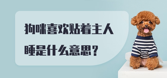 狗咪喜欢贴着主人睡是什么意思？