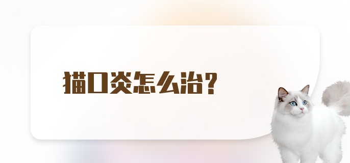 猫口炎怎么治?