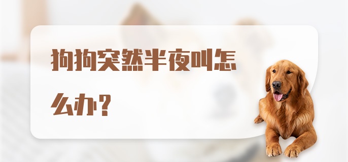 狗狗突然半夜叫怎么办？