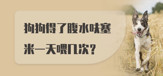 狗狗得了腹水呋塞米一天喂几次？