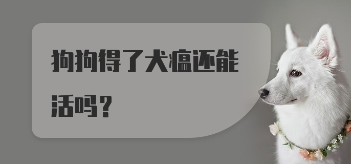 狗狗得了犬瘟还能活吗?