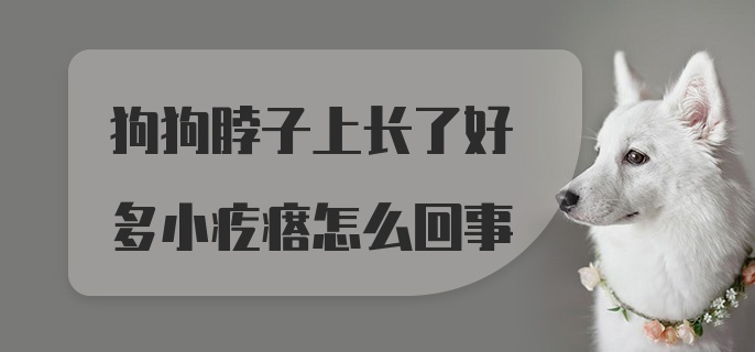 狗狗脖子上长了好多小疙瘩怎么回事