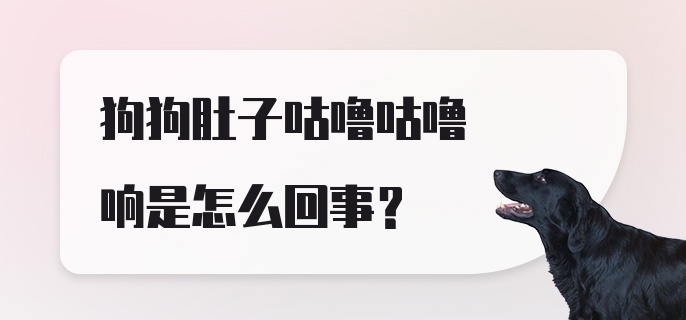 狗狗肚子咕噜咕噜响是怎么回事？