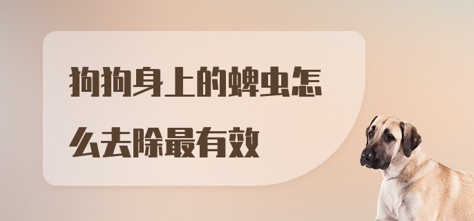 狗狗身上的蜱虫怎么去除最有效