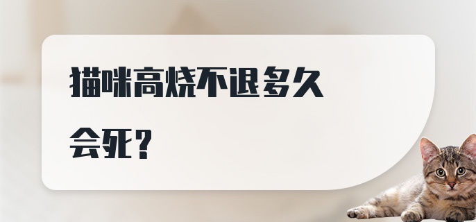 猫咪高烧不退多久会死？