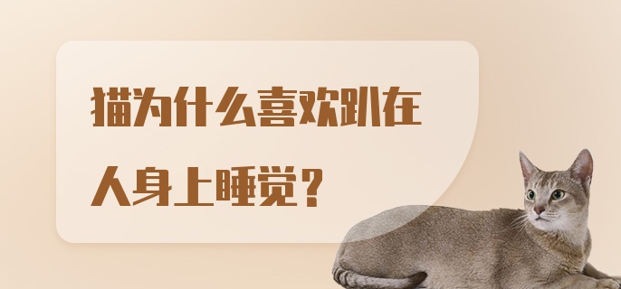 猫为什么喜欢趴在人身上睡觉？