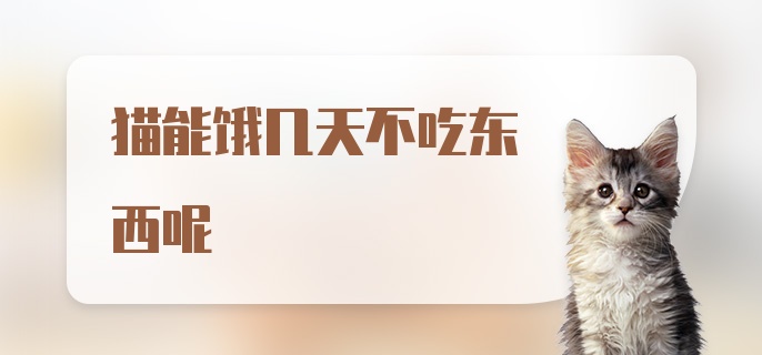 猫能饿几天不吃东西呢