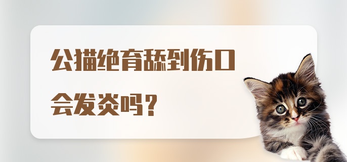 公猫绝育舔到伤口会发炎吗？