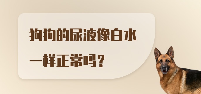 狗狗的尿液像白水一样正常吗？