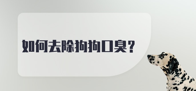 如何去除狗狗口臭？