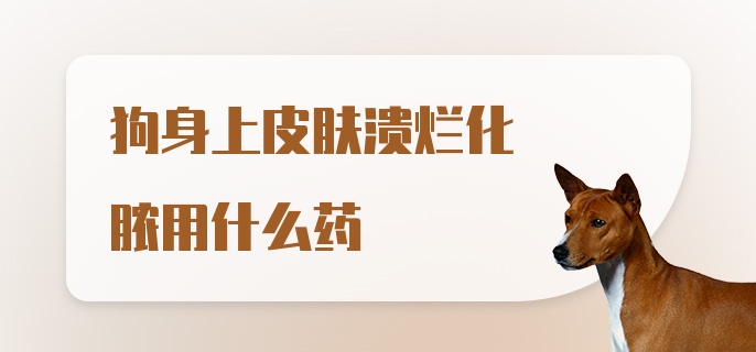 狗身上皮肤溃烂化脓用什么药