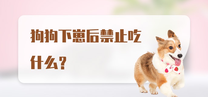 狗狗下崽后禁止吃什么？