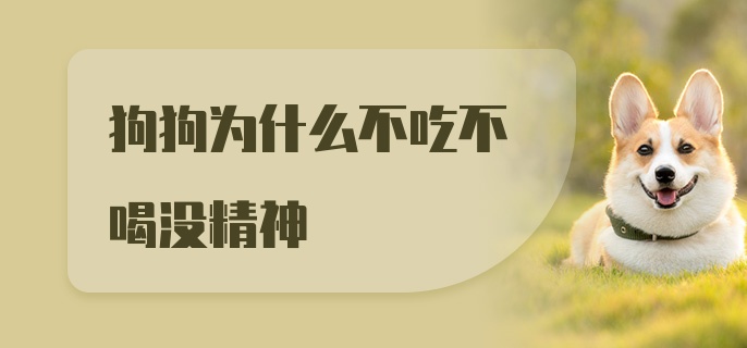 狗狗为什么不吃不喝没精神