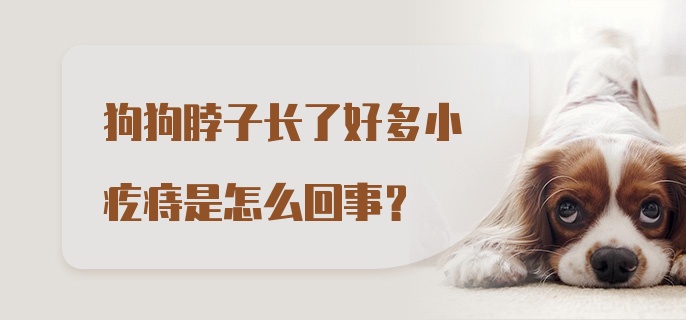 狗狗脖子长了好多小疙痔是怎么回事？