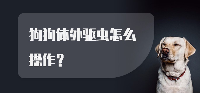 狗狗体外驱虫怎么操作?