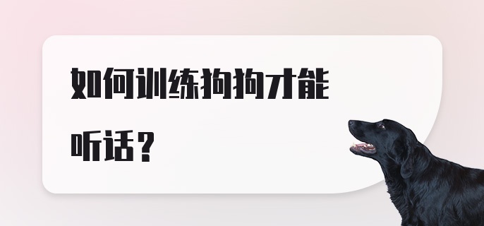 如何训练狗狗才能听话？