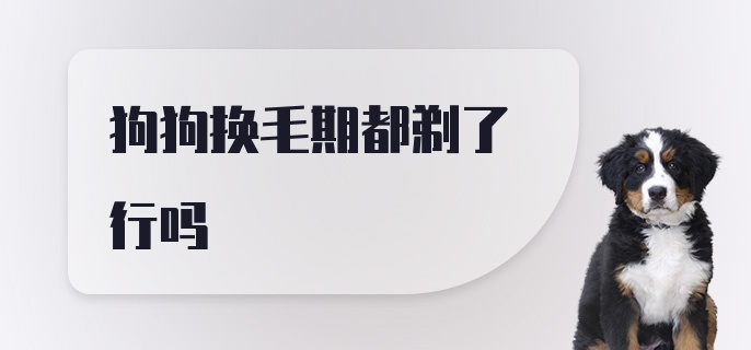 狗狗换毛期都剃了行吗