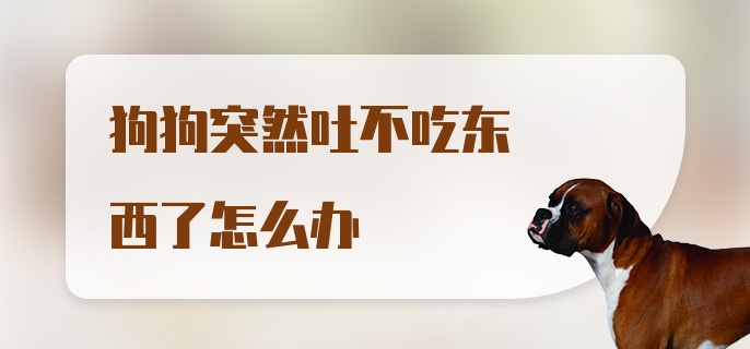 狗狗突然吐不吃东西了怎么办