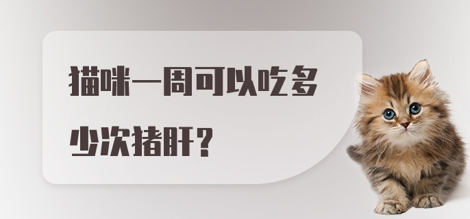 猫咪一周可以吃多少次猪肝？