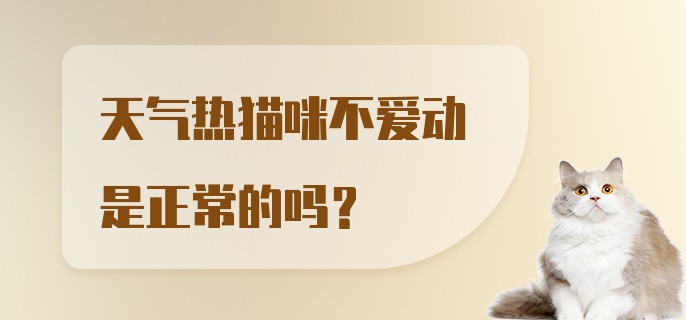 天气热猫咪不爱动是正常的吗？