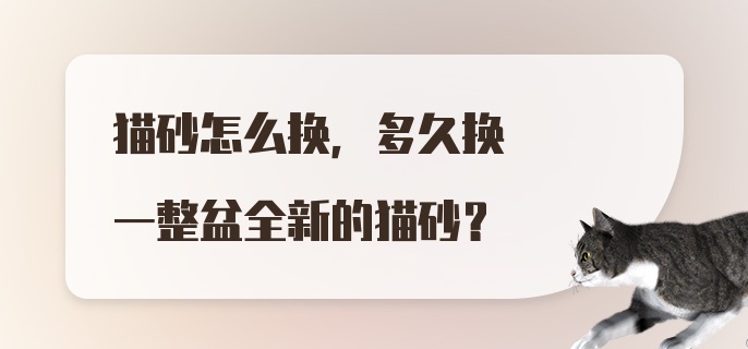 猫砂怎么换，多久换一整盆全新的猫砂？