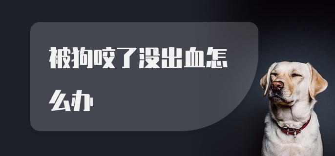 被狗咬了没出血怎么办