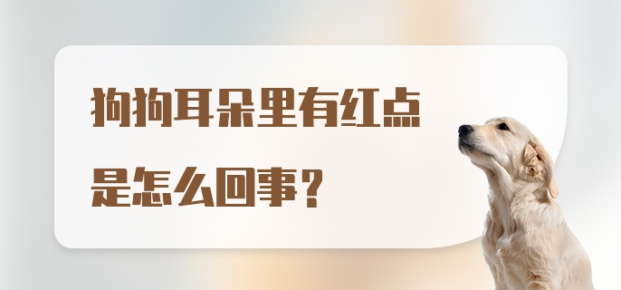 狗狗耳朵里有红点是怎么回事？