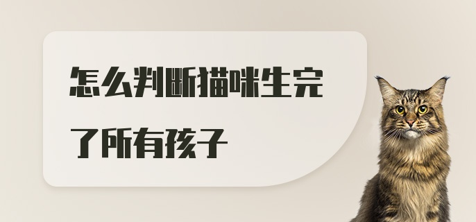 怎么判断猫咪生完了所有孩子