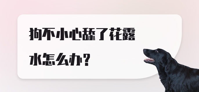 狗不小心舔了花露水怎么办？