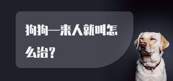 狗狗—来人就叫怎么治？