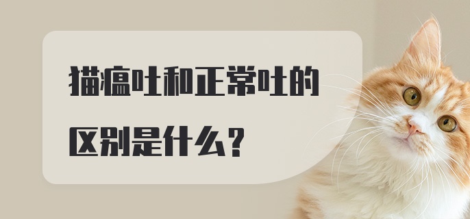 猫瘟吐和正常吐的区别是什么?